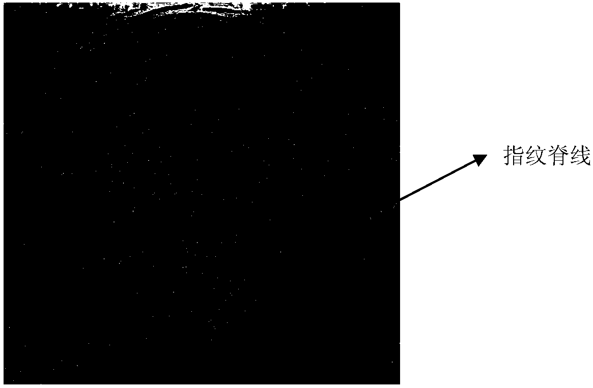 A fingerprint identification method and fingerprint acquisition equipment