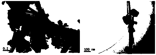 Preparation method of calcium carbonate composite powder with visible light catalytic activity