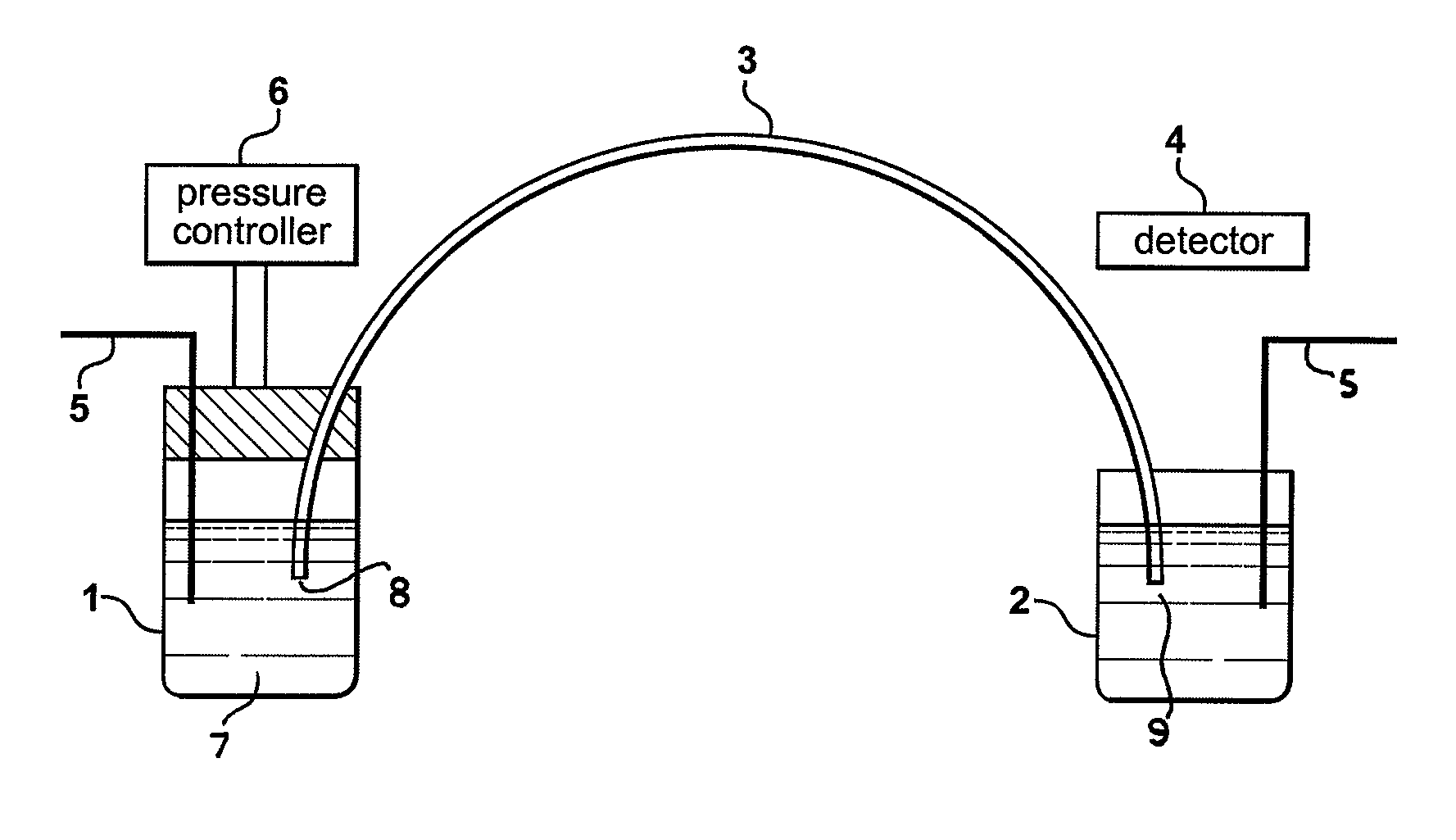 Gradient elution electrophoresis