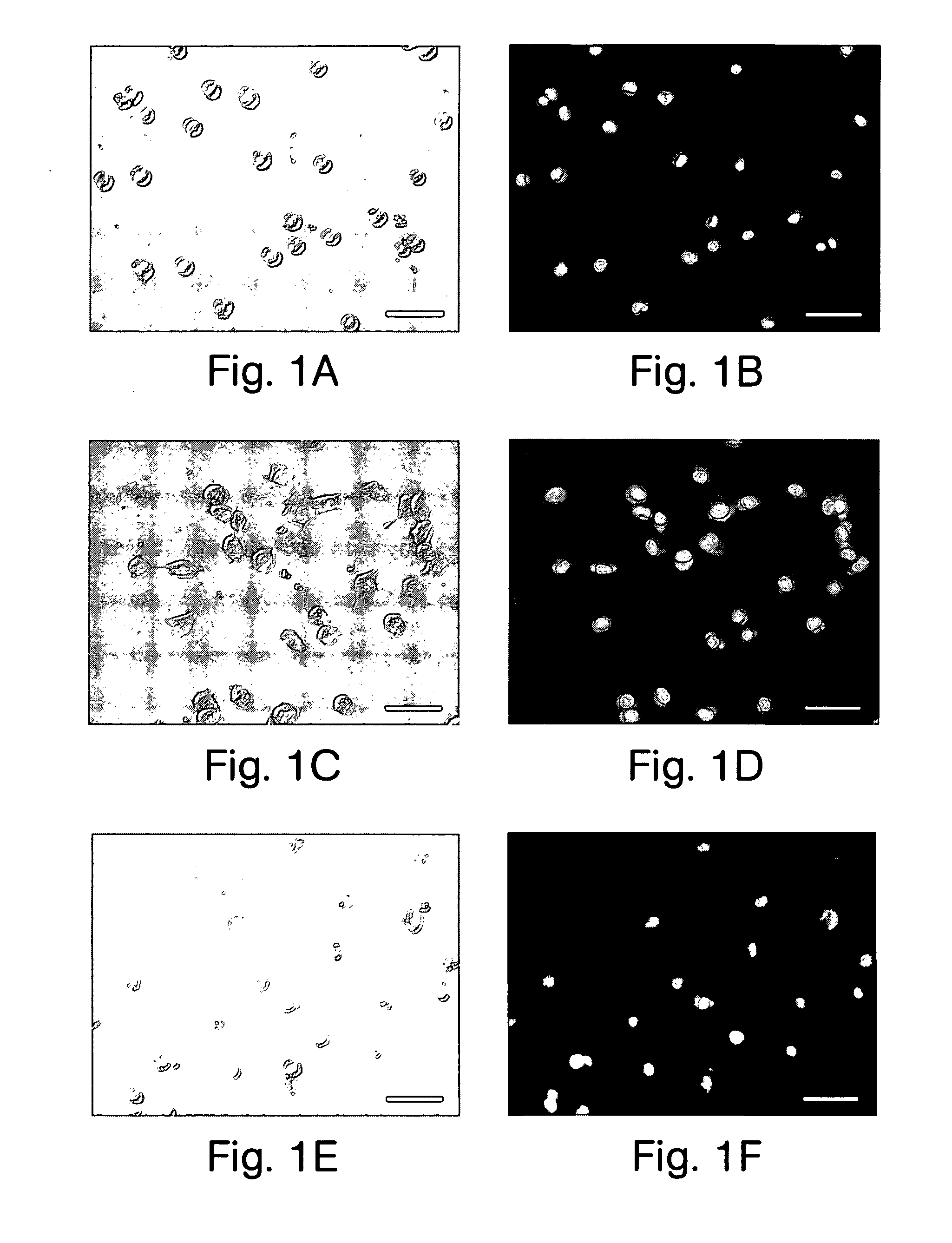 Systems and methods for cell preservation