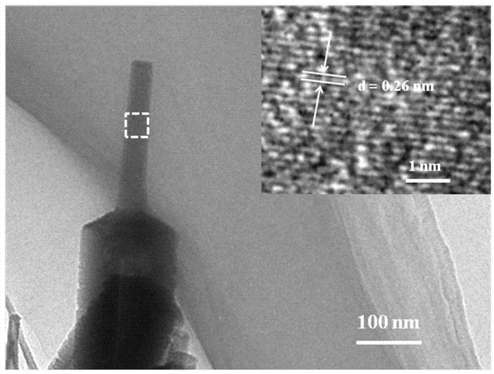 Zinc oxide nanopencil array electrode and preparation method and application thereof