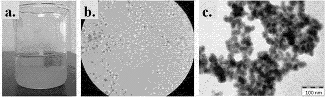 Preparation method and application of 'baicalin-berberine' compound