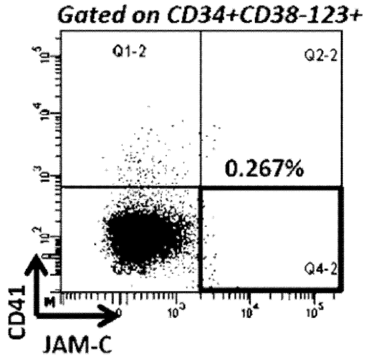 New biomarker for outcome in aml