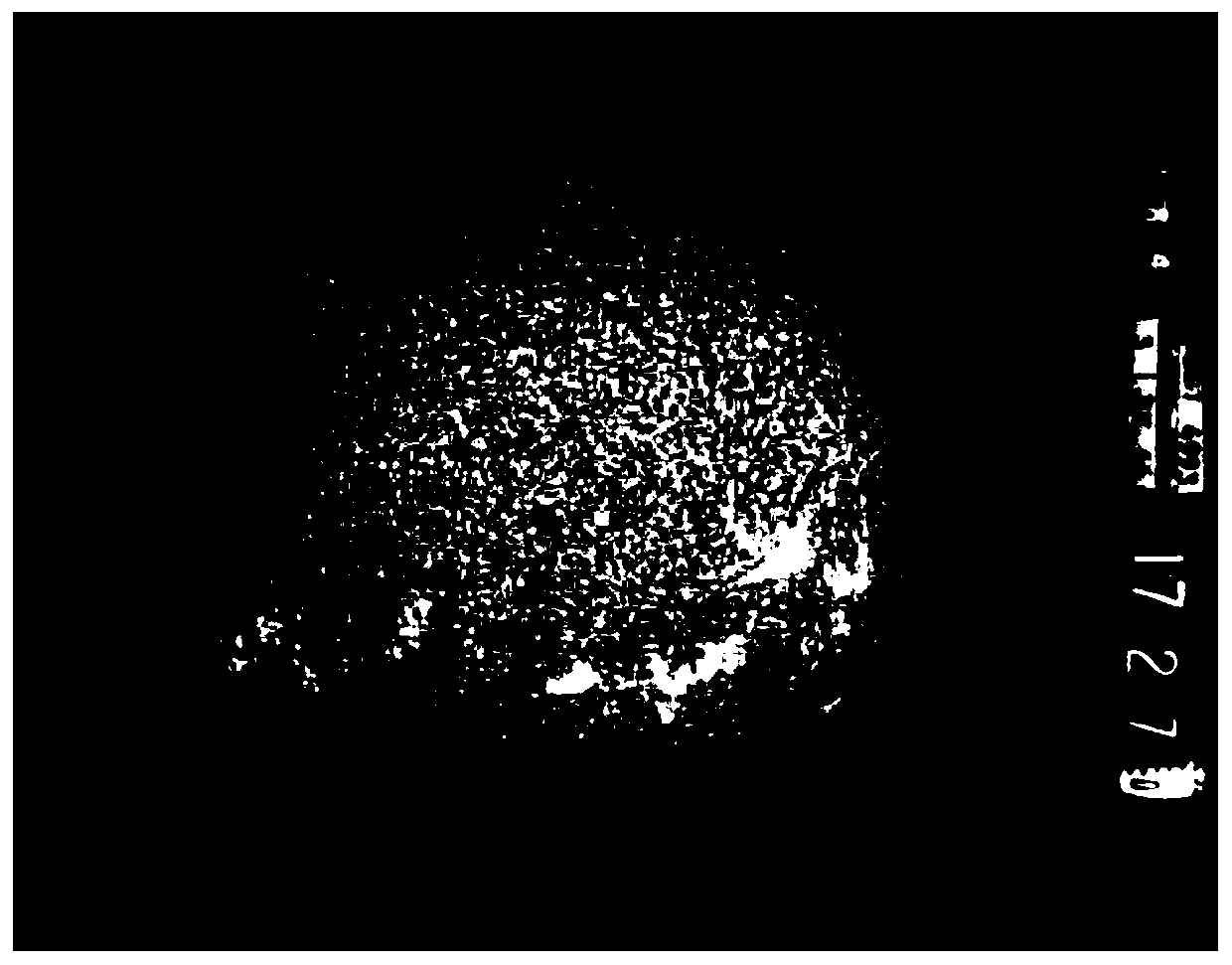 Solar film image timestamp information extraction method based on deep learning