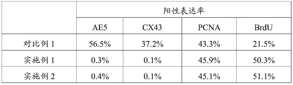 Application of AcSDKP in limbal stem cell separation culture and method for culturing limbal stem cell