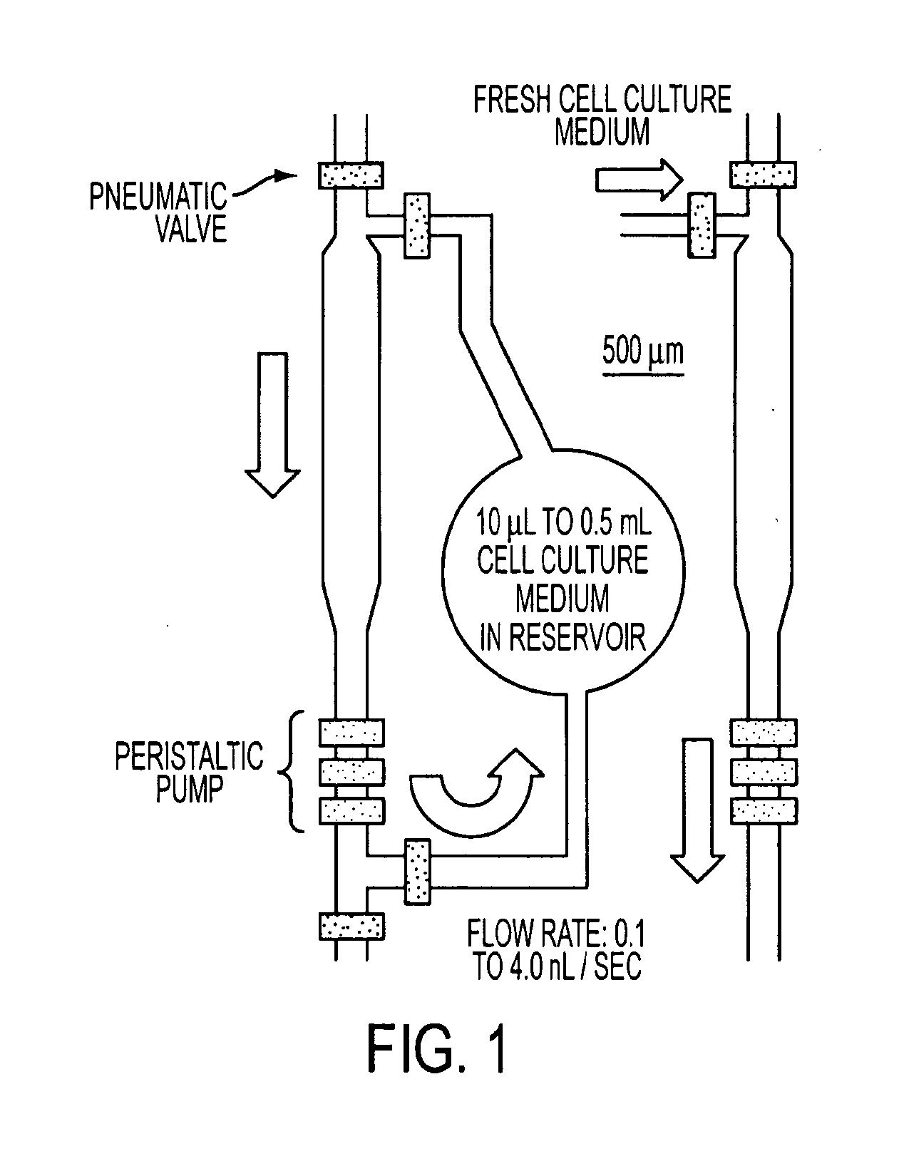 Microfluidic platform for cell culture and assay