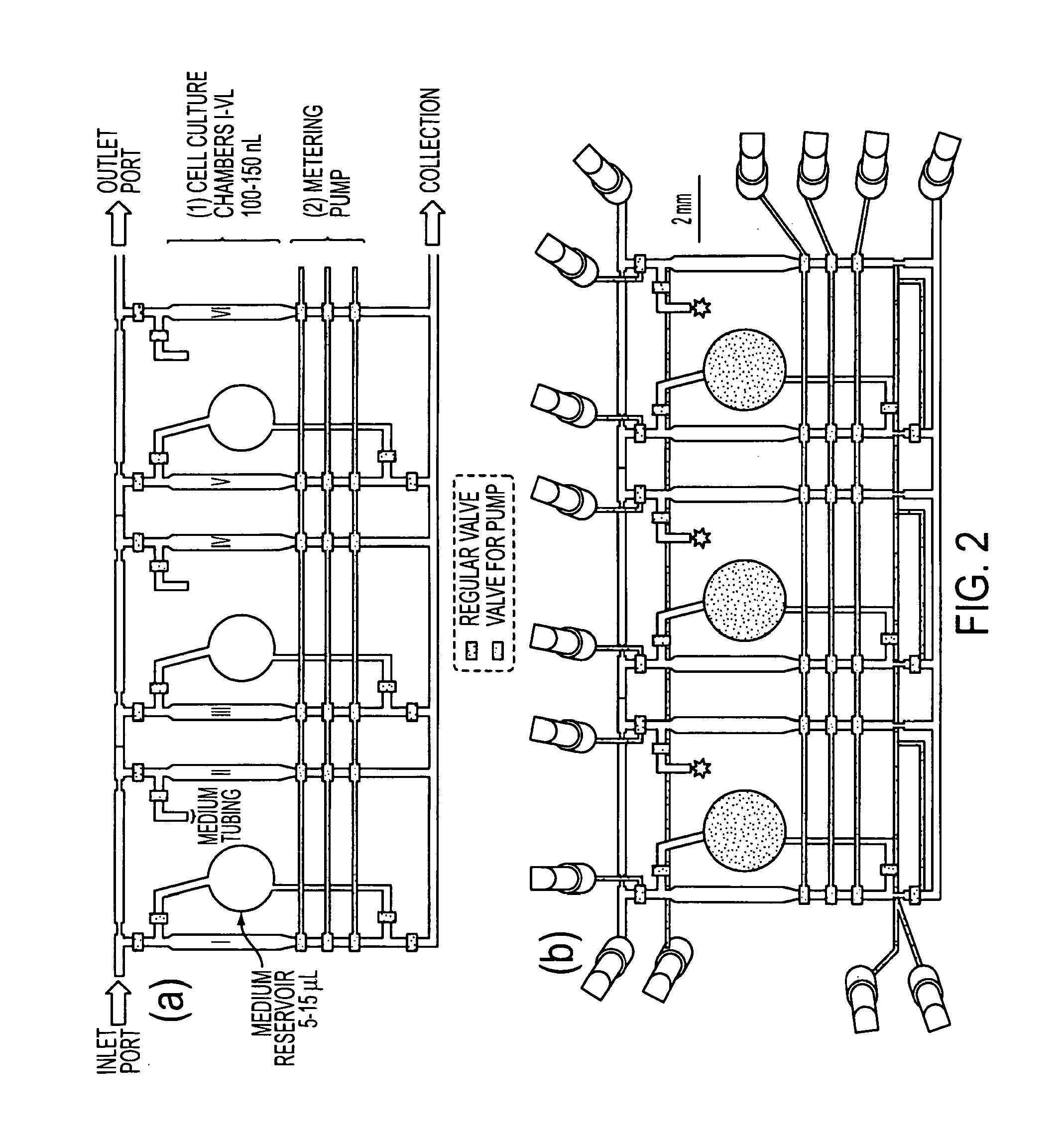 Microfluidic platform for cell culture and assay