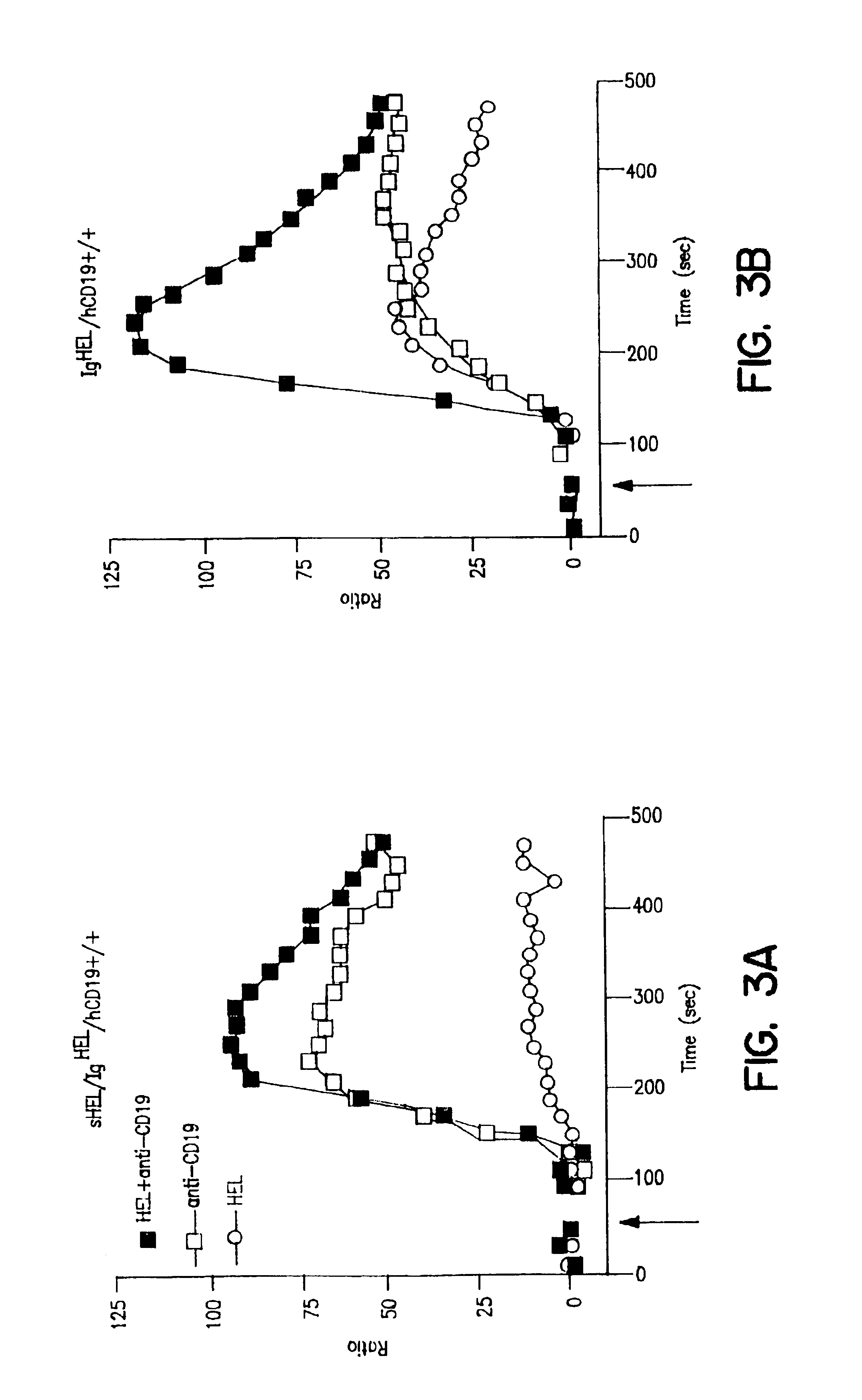 Antibody production methods relating to disruption of peripheral tolerance in B lympho-cytes