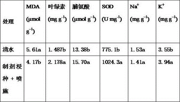 Preparation for improving seedling emergence quality of sweet sorghum in saline-alkali soil