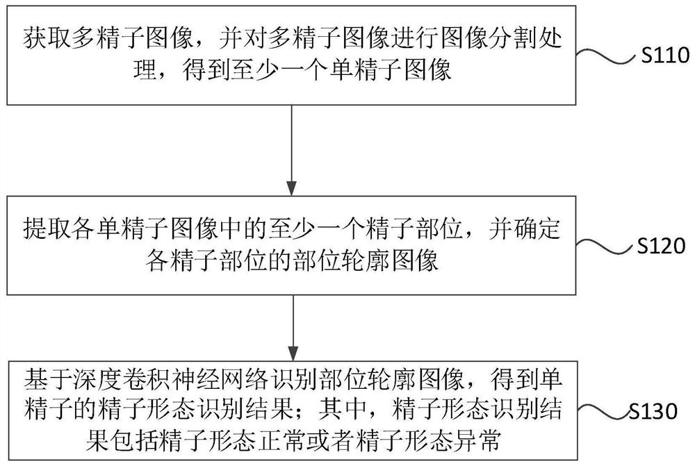 Sperm morphology recognition method based on deep convolutional neural network and storage medium