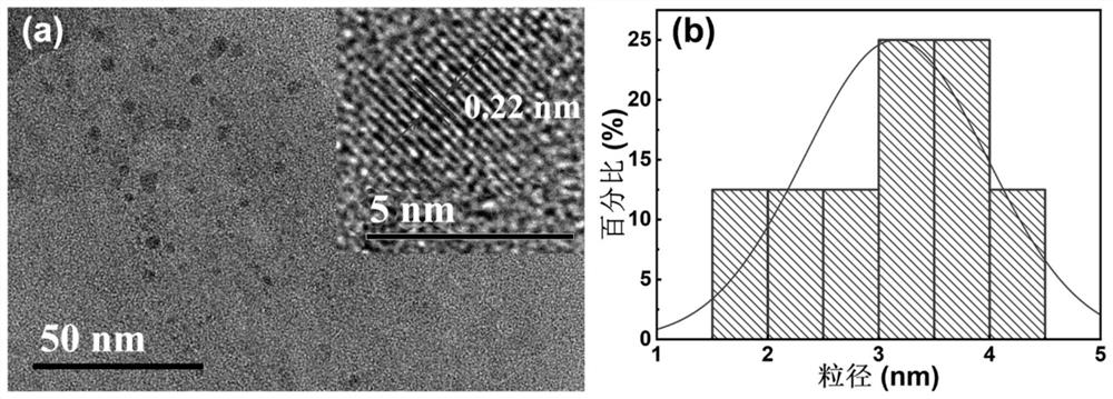 Disilane functionalized carbon dots as well as preparation method and application thereof