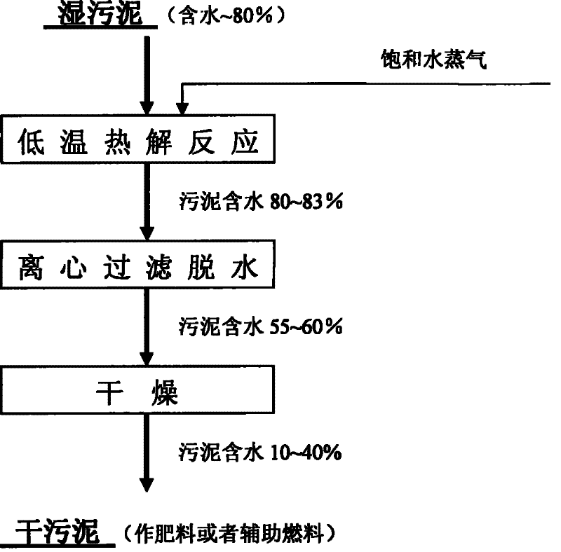 System and process for anhydration treatment of wet sludge