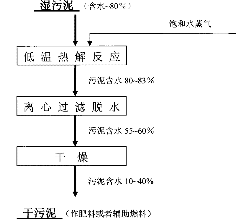 System and process for anhydration treatment of wet sludge