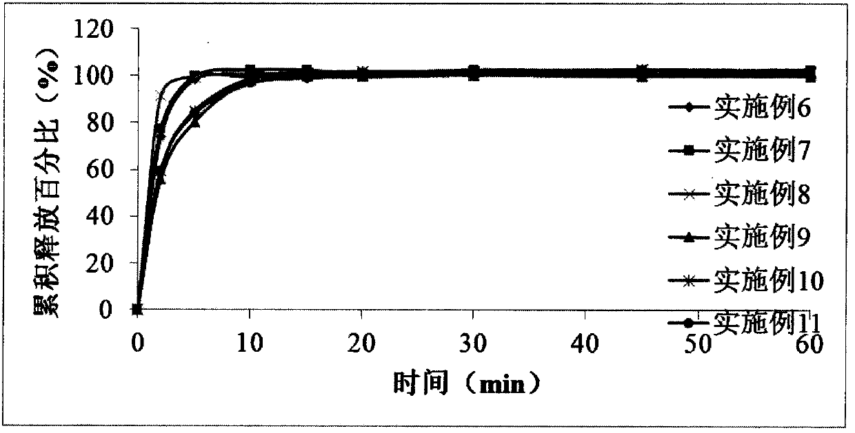 Edaravone and (+)-2-camphol sublingual medicine composition