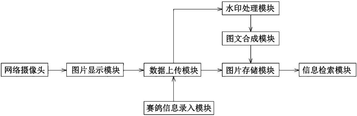 Online photographing and synthesizing system for homing pigeons into cage