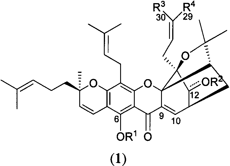 Gambogic acid derivatives as well as preparation method and application thereof