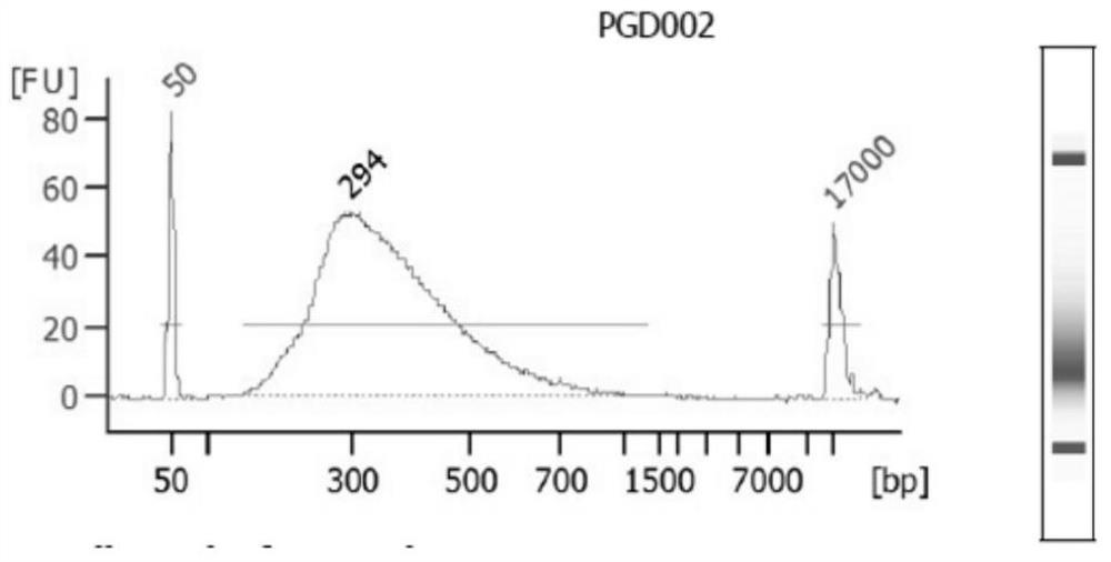 Method, system and computer readable medium for determining SNP information in a predetermined region of a chromosome