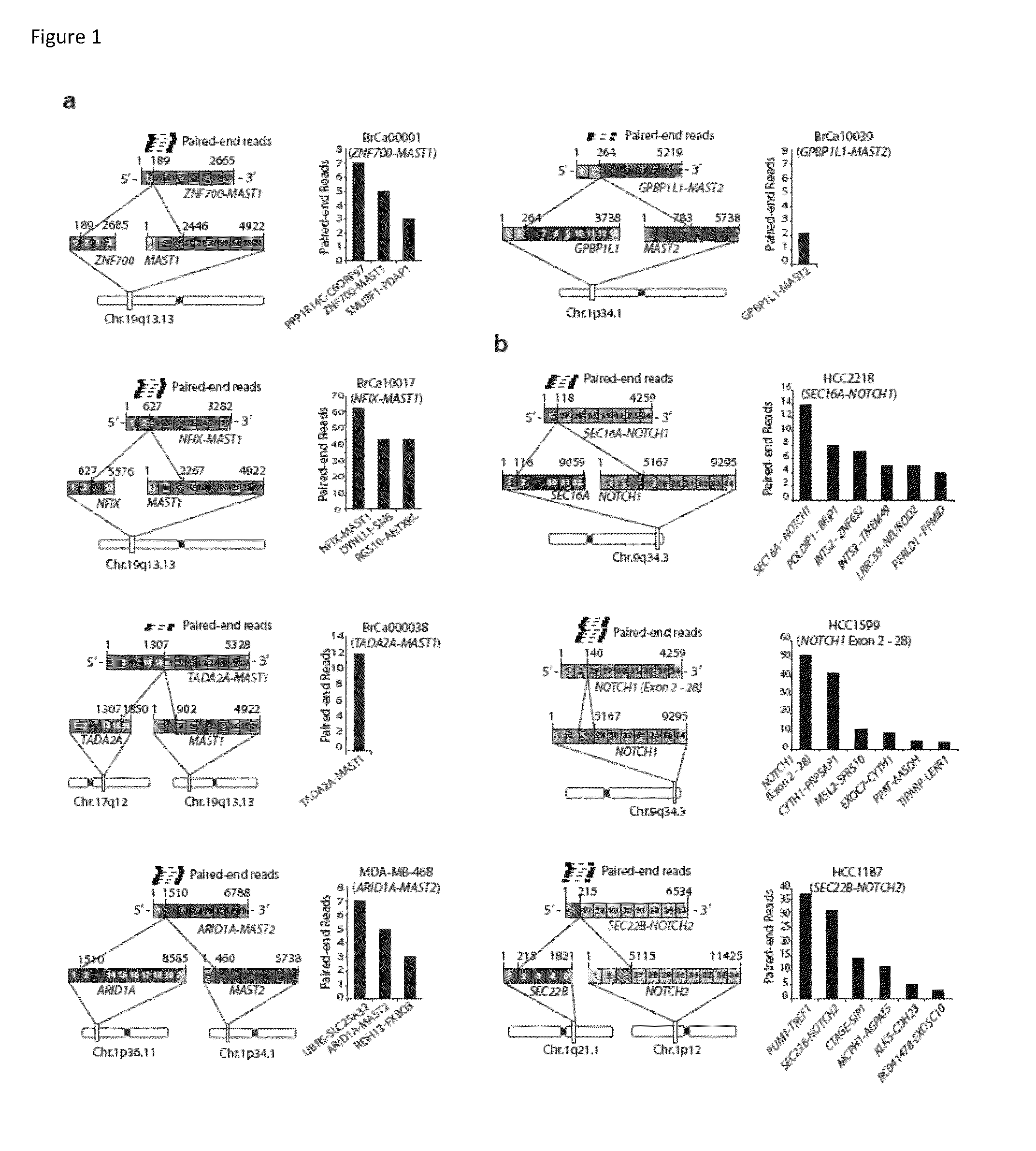 Recurrent gene fusions in breast cancer