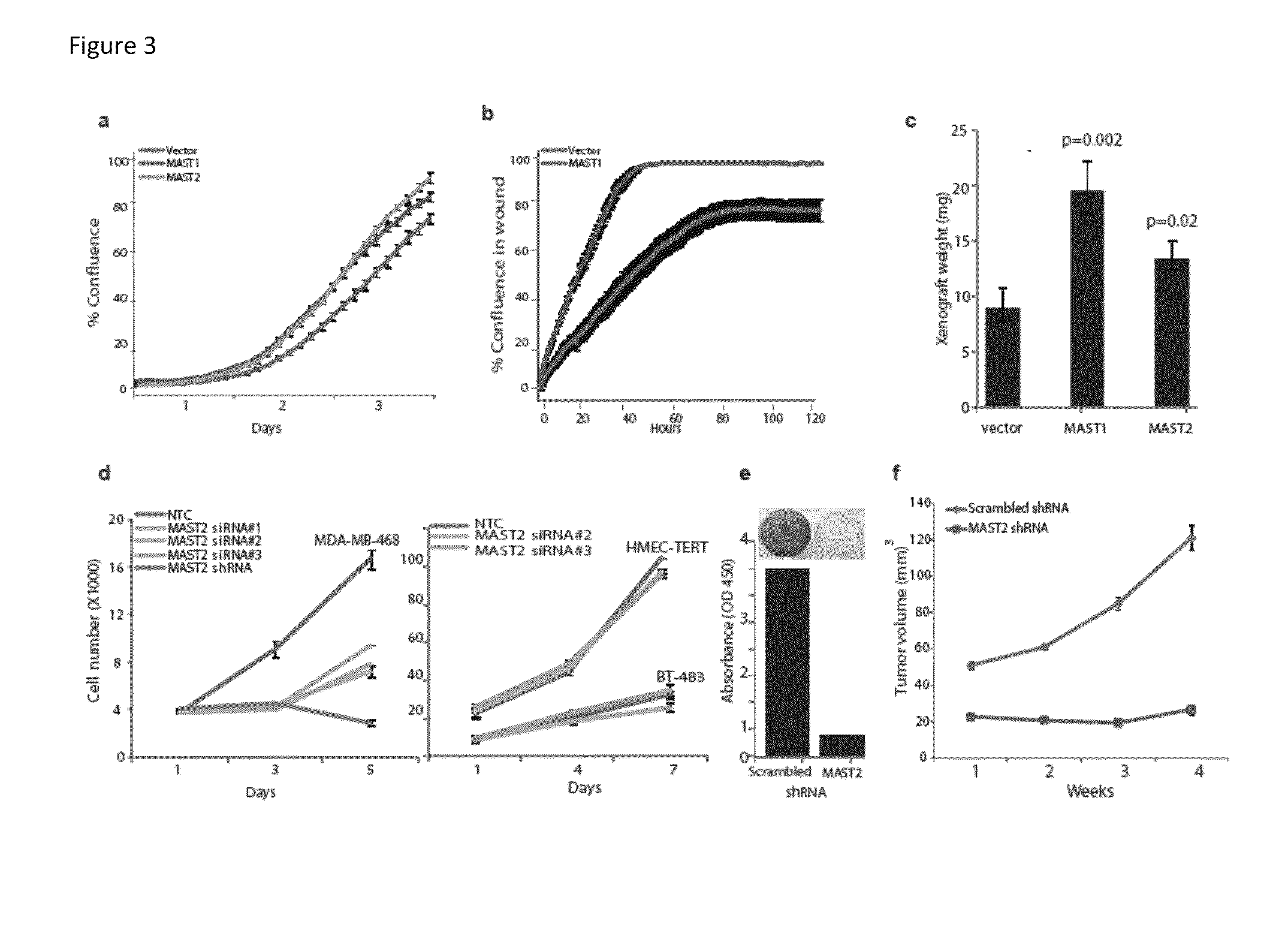 Recurrent gene fusions in breast cancer