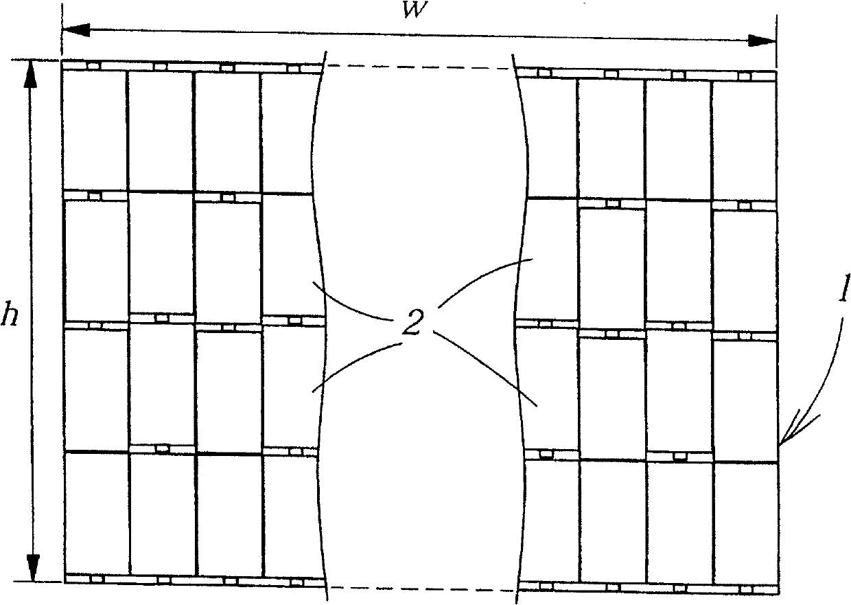 Process for culturing Brazilian mushroom