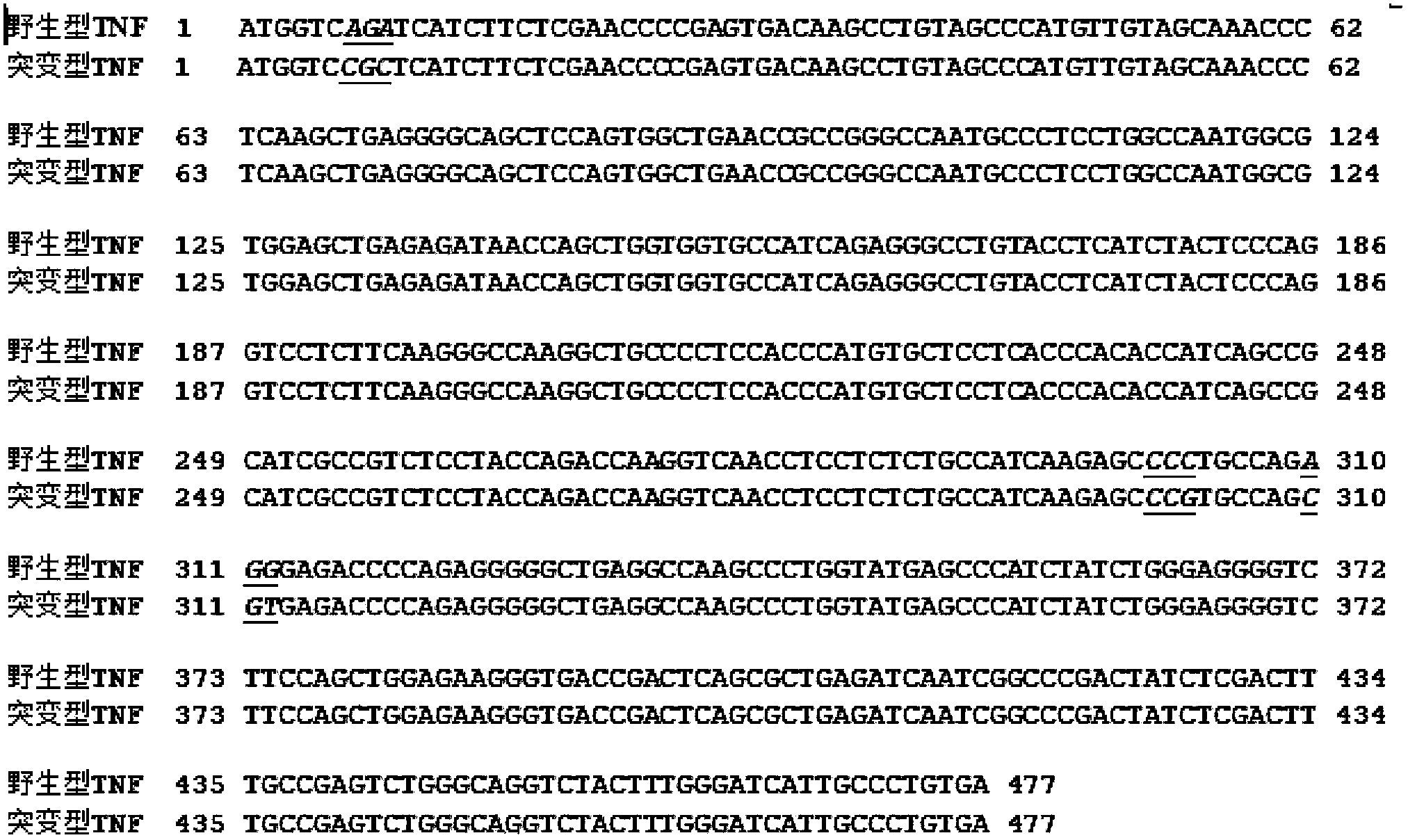 Mutant type TNF-alpha gene and method of increasing the expression quantity of the antigen TNF-alpha gene