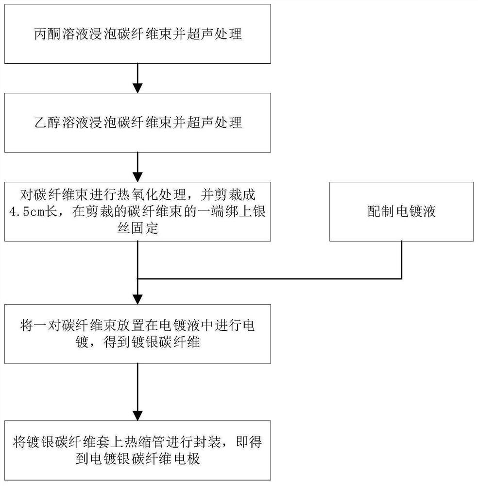 A kind of electroplated silver carbon fiber electrode and preparation method thereof