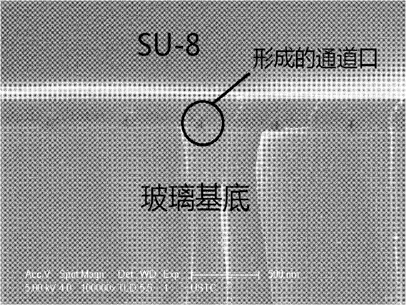 Method for preparing micro-nanometer fluid system through compound developing of positive and negative photoresists