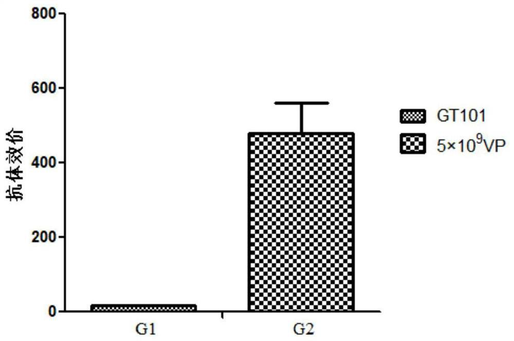 Ad7 vector vaccine for preventing SARS-CoV-2 infection