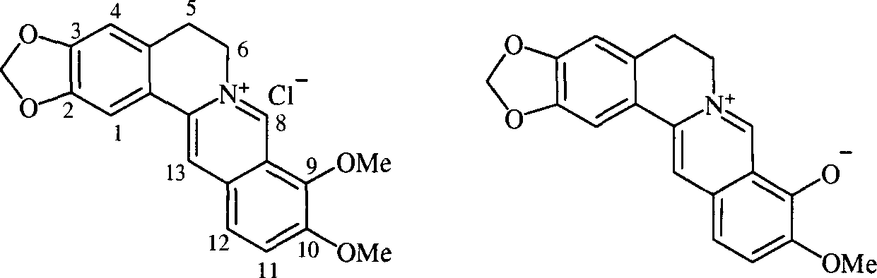 Novel 13-n-octylberberine derivative with antineoplastic action