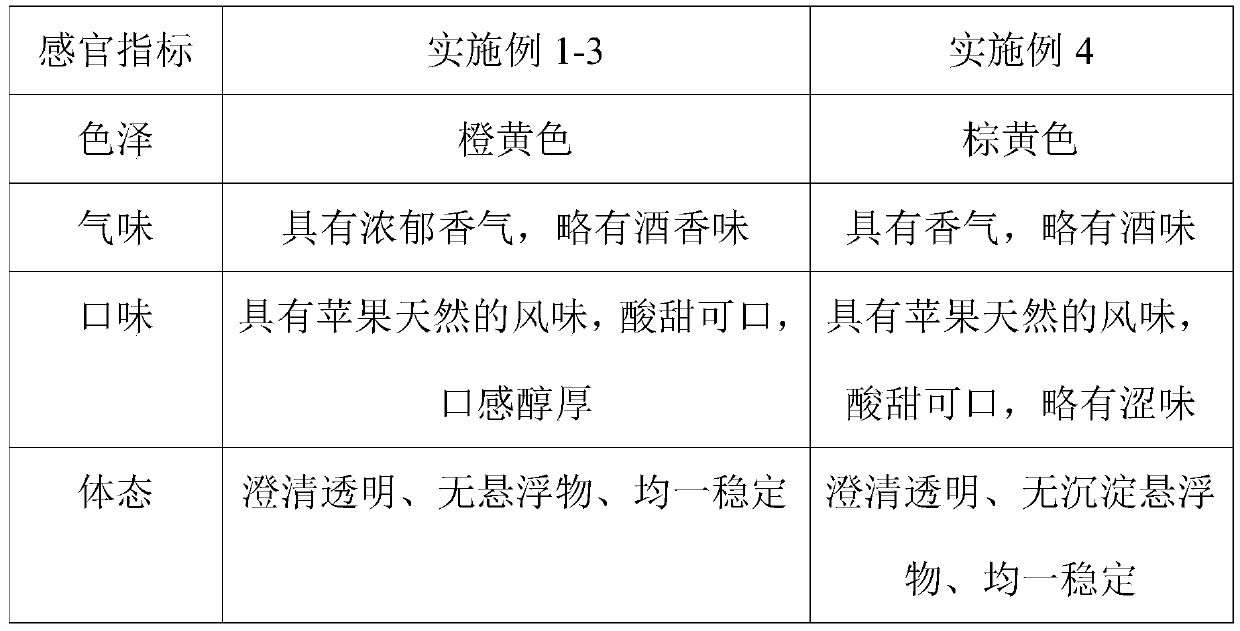 Preparation method of apple enzyme functional beverage