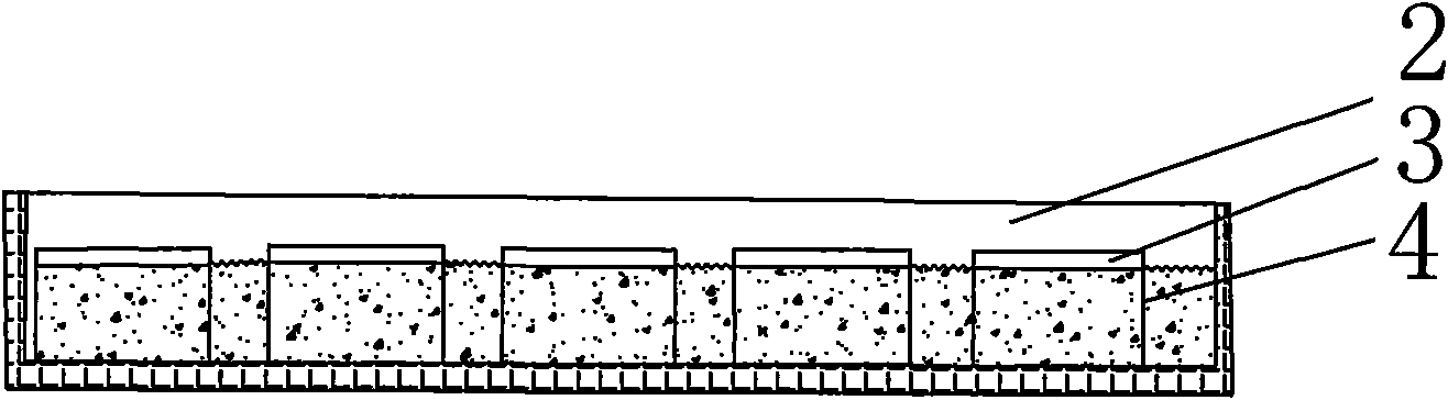 Rana spinosa eggmass collecting device and collecting method thereof