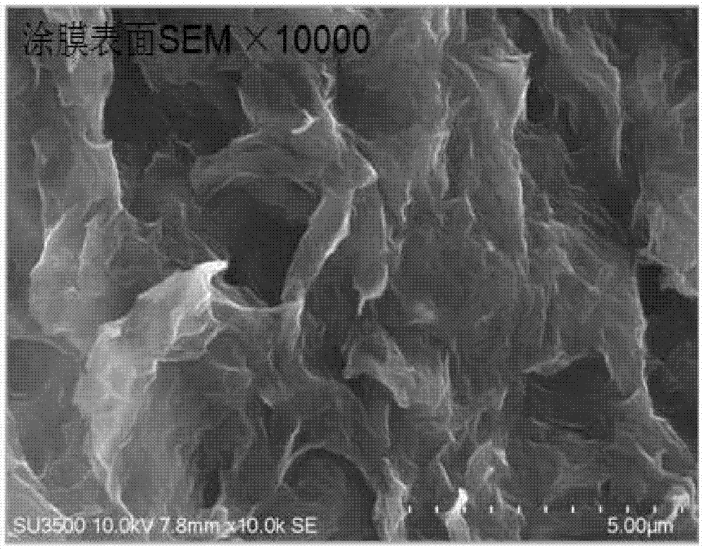 A kind of graphene heat dissipation coating and its preparation method and application