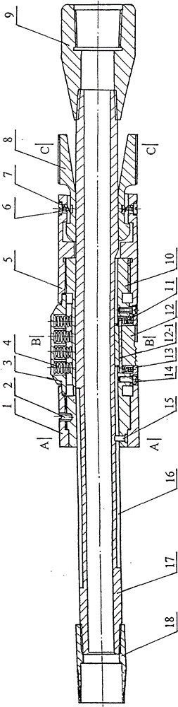 Anchoring device of screw pump