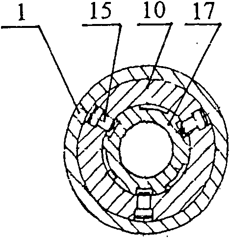 Anchoring device of screw pump