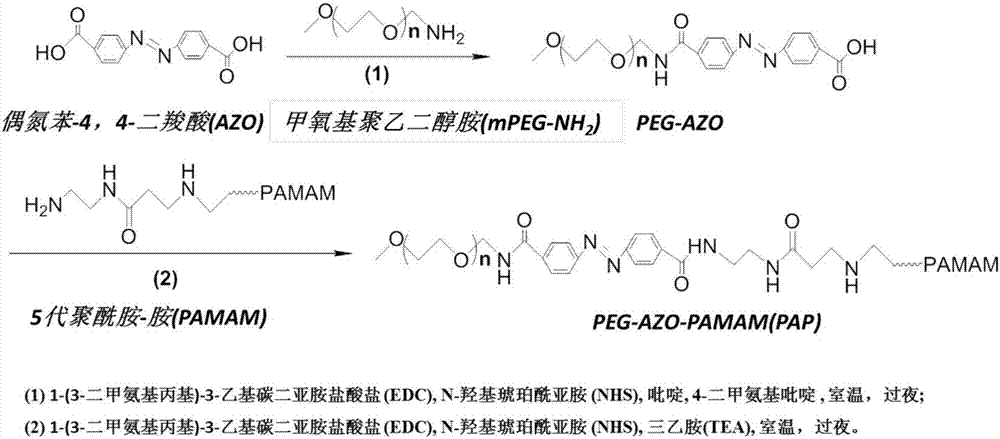 Drug nano preparation and preparation method thereof