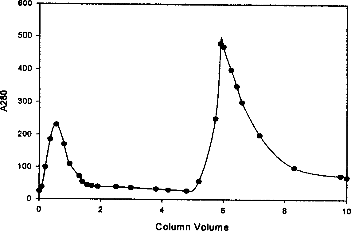 Purifying and producing process for high purity follicle stimulating hormone in urine