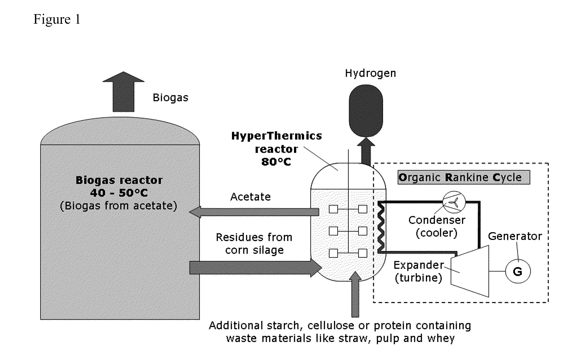 Energy production with hyperthermophilic organisms