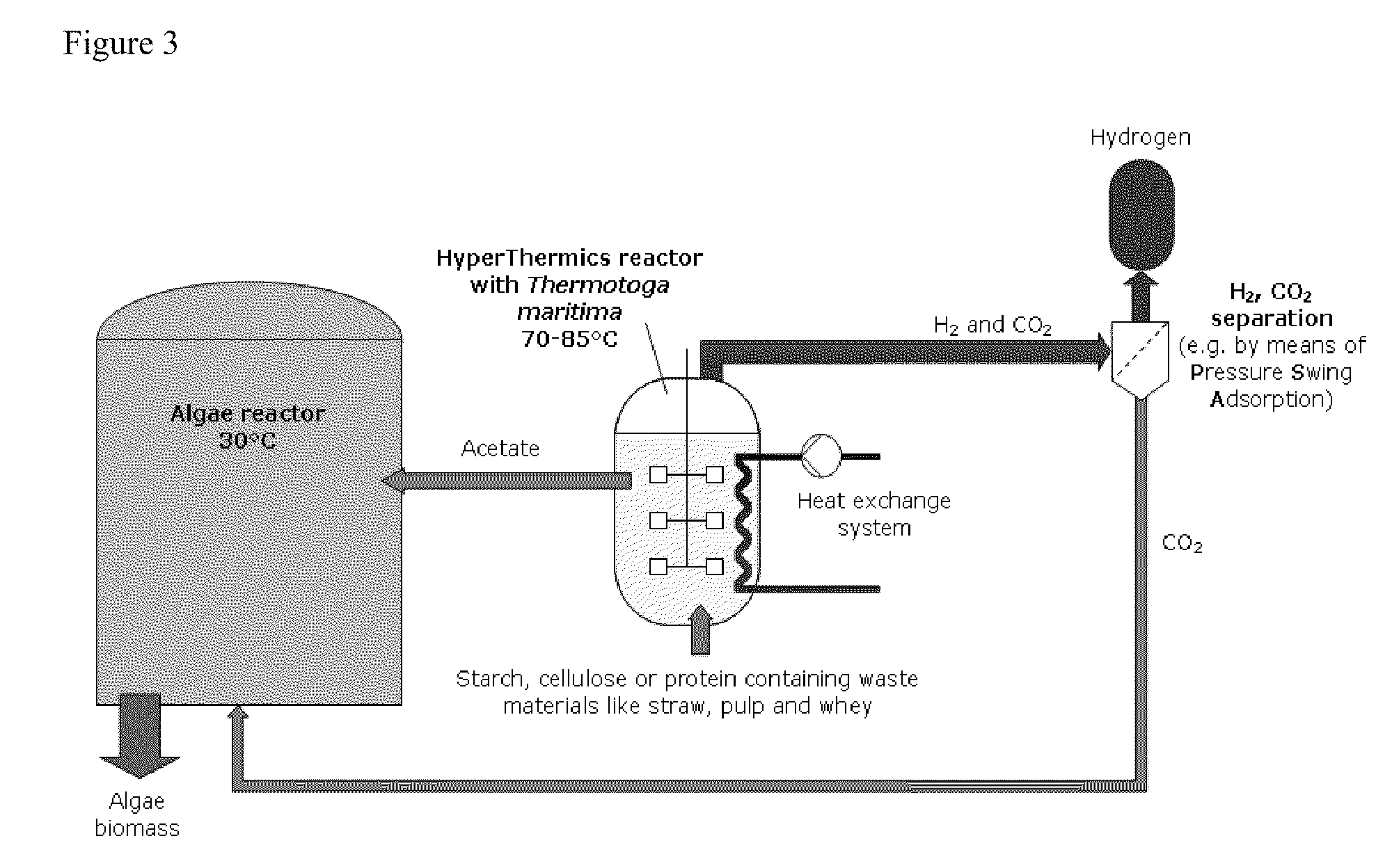 Energy production with hyperthermophilic organisms