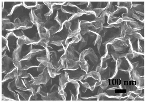 Method used for preparing vertical graphene film taking biomass as raw material