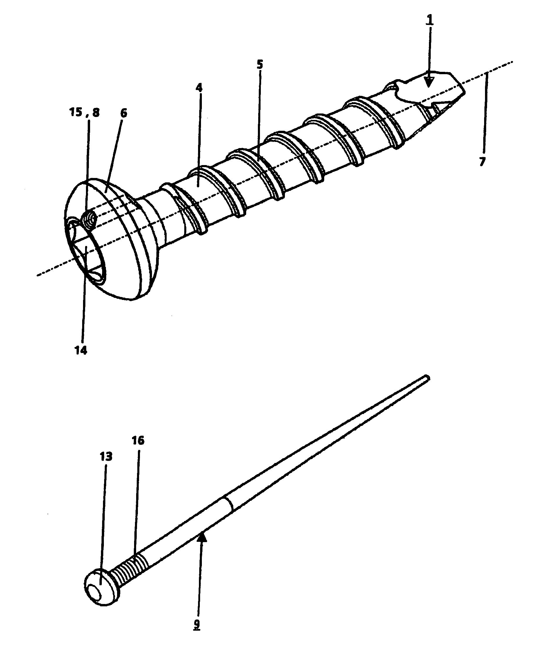 Locking screw for an intramedullary nail