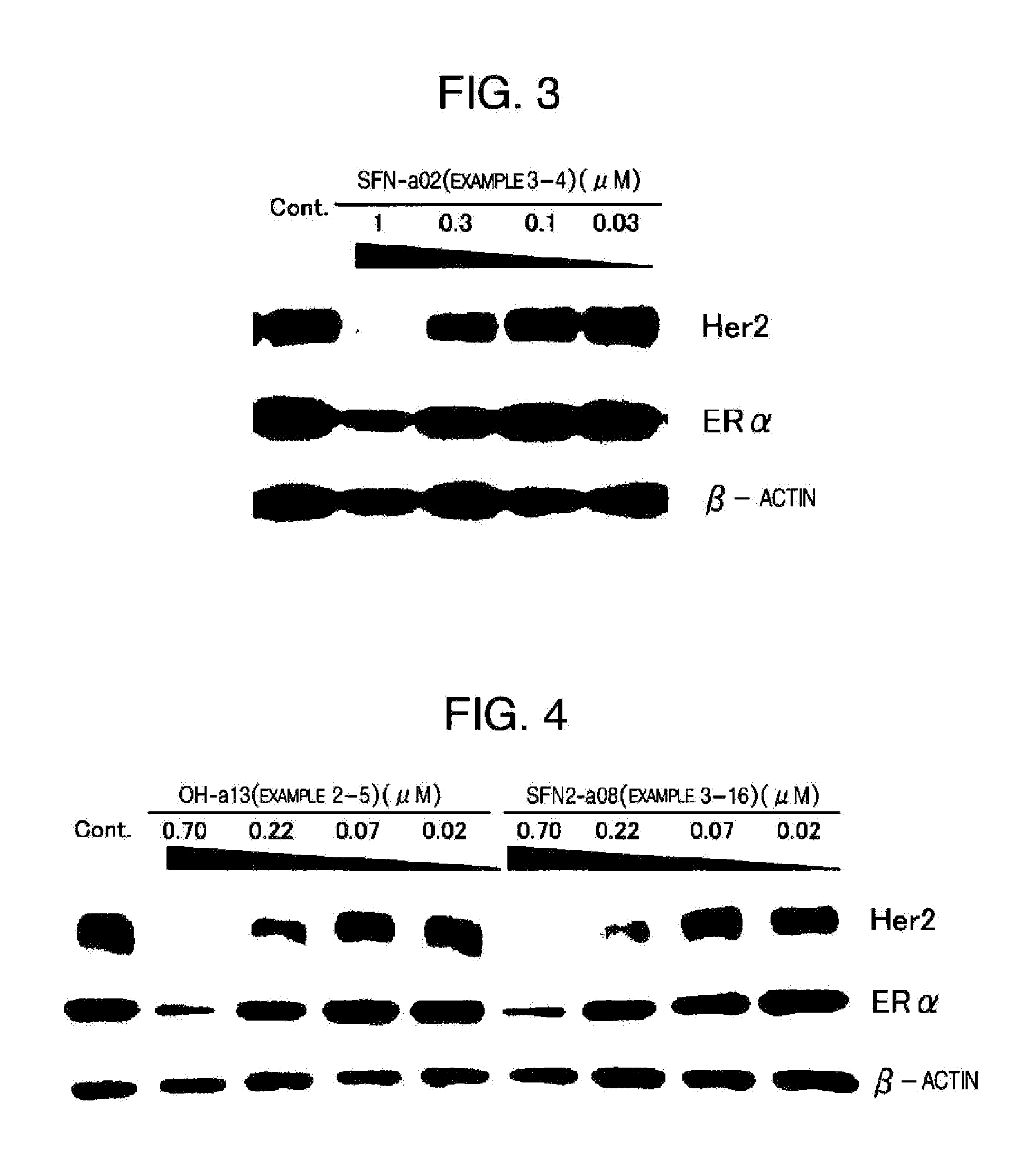 Novel HSP90 Inhibitor