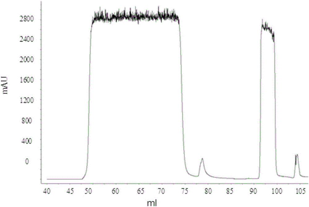 Anti-TNF-alpha monoclonal antibody chromatographic method