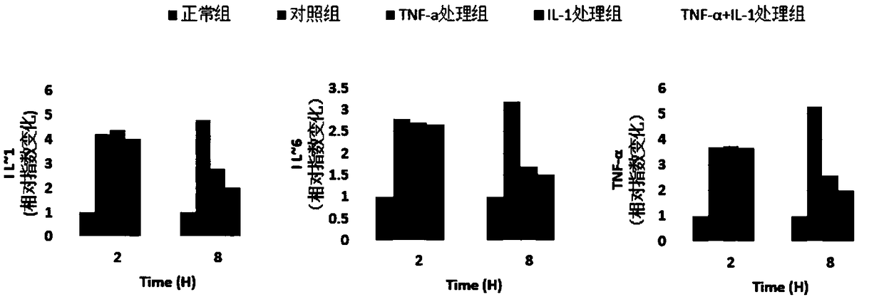 Mesenchymal stem cell injection for treating cerebral ischemic stroke and preparation method