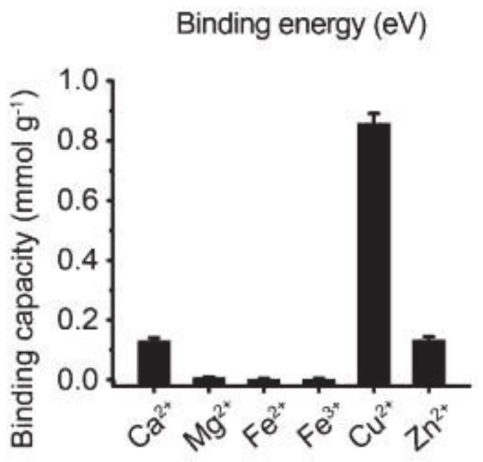 A kind of application of black phosphorus nanosheet