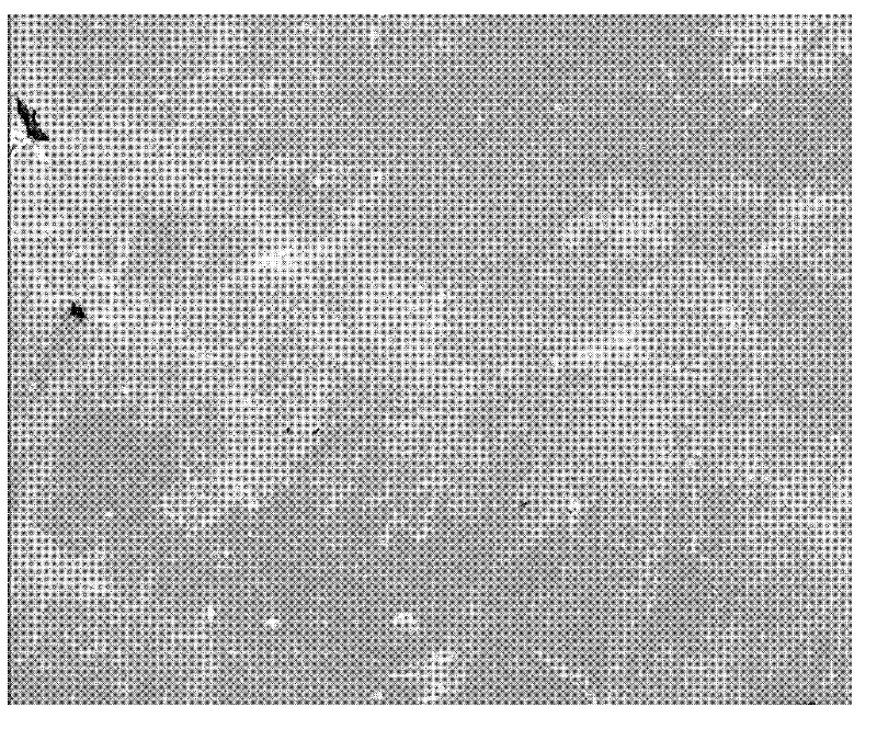 Compound surface reinforcing agent for packaging paperboard and method for preparing same