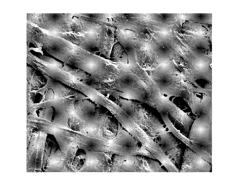 Compound surface reinforcing agent for packaging paperboard and method for preparing same