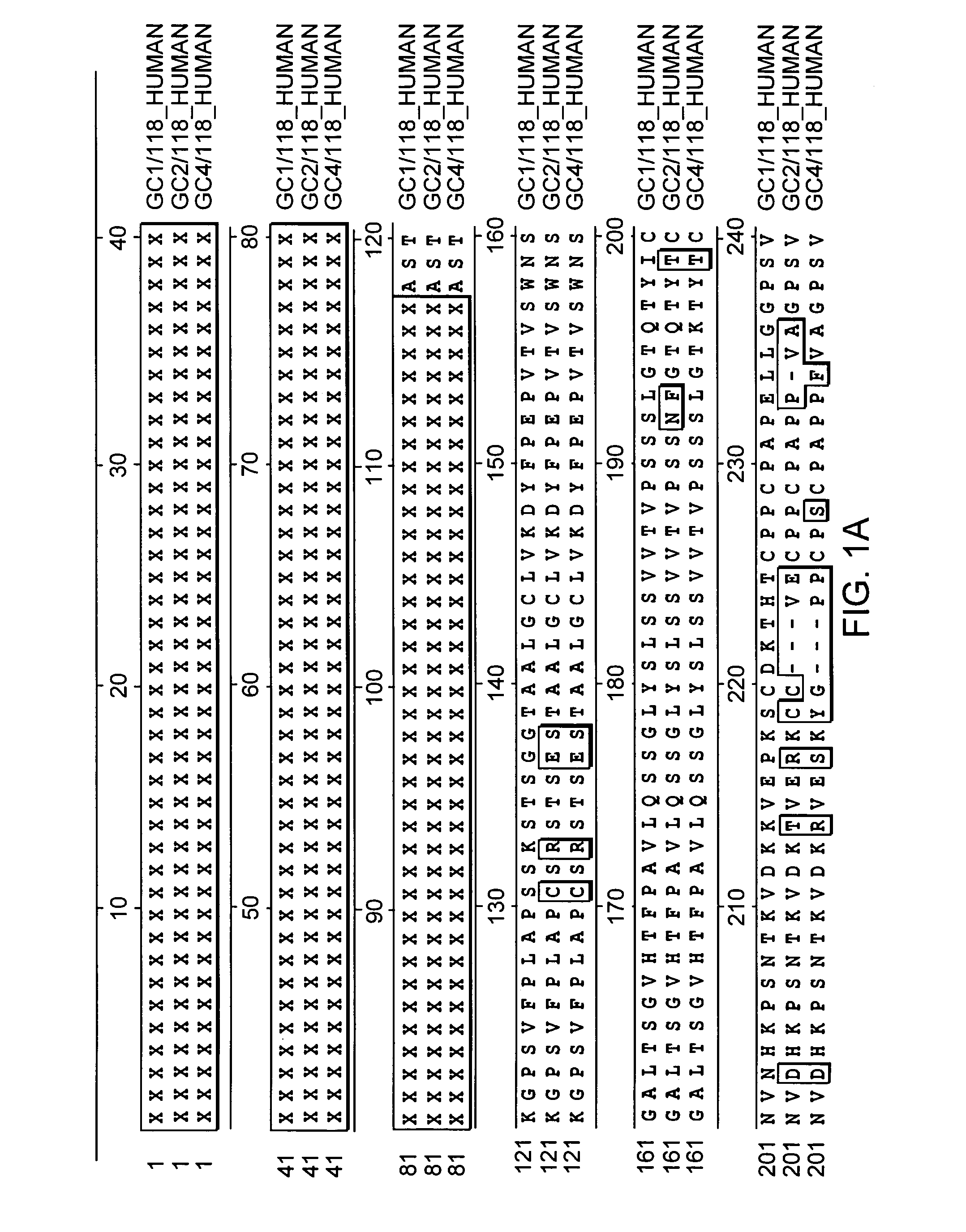 Fc-erythropoietin fusion protein with improved pharmacokinetics