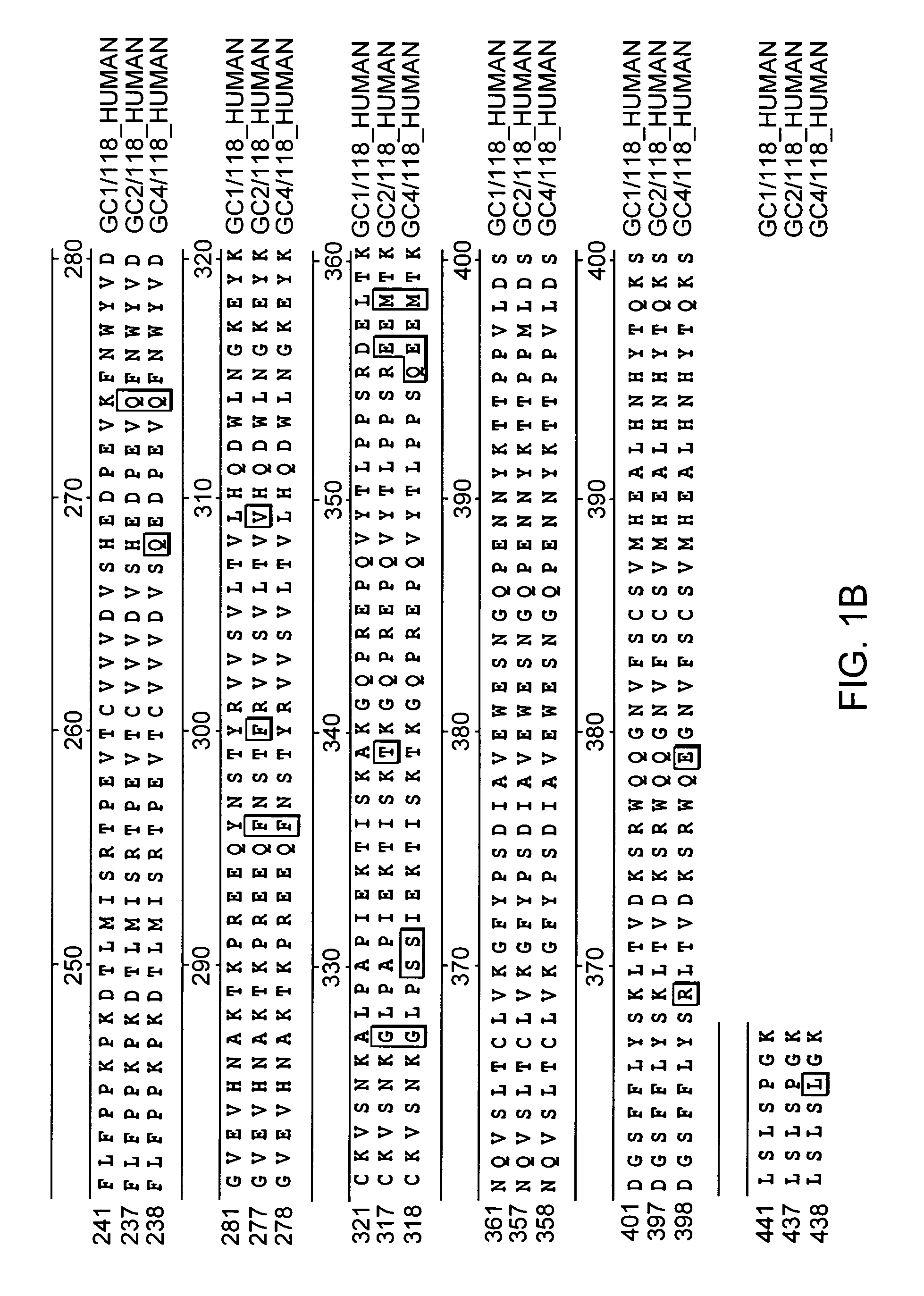 Fc-erythropoietin fusion protein with improved pharmacokinetics