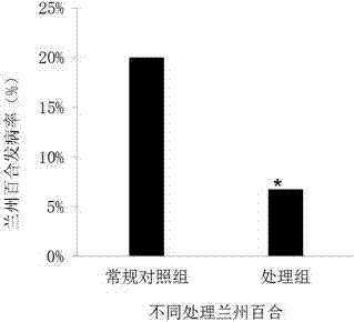 Compound microbial inoculant special for lilium davidii var. unicolor and preparation method of compound microbial inoculant