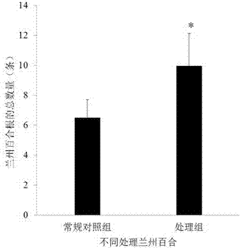 Compound microbial inoculant special for lilium davidii var. unicolor and preparation method of compound microbial inoculant